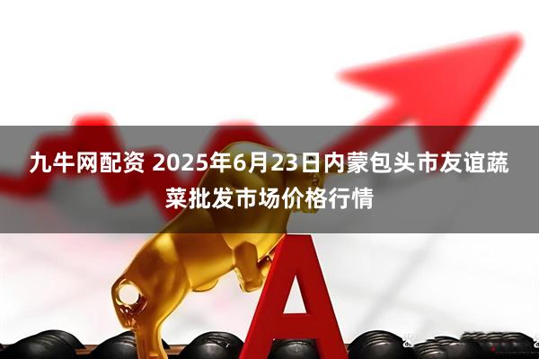 九牛网配资 2025年6月23日内蒙包头市友谊蔬菜批发市场价格行情