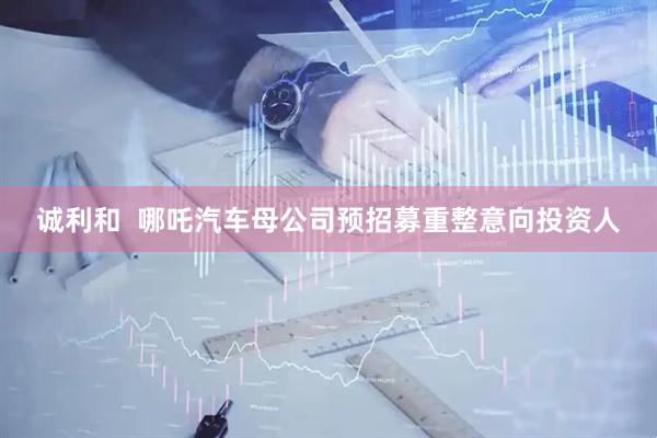 诚利和  哪吒汽车母公司预招募重整意向投资人