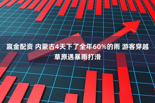 赢金配资 内蒙古4天下了全年60%的雨 游客穿越草原遇暴雨打滑