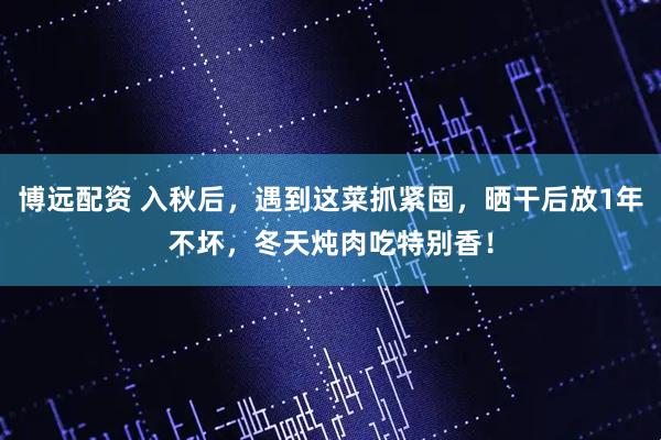 博远配资 入秋后，遇到这菜抓紧囤，晒干后放1年不坏，冬天炖肉吃特别香！